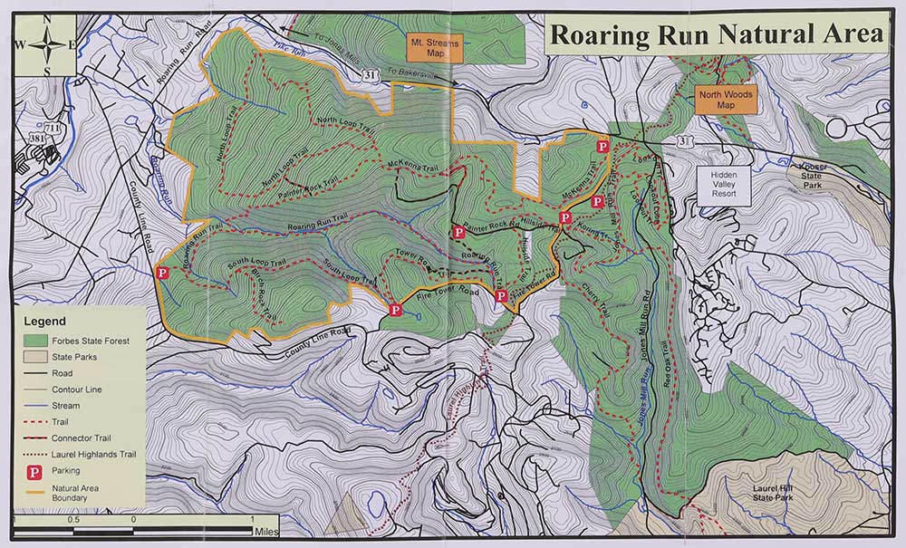 Roaring Run Ski Area Trail Map